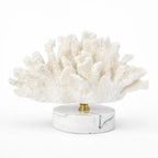 Coral Ornament
