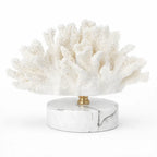 Coral Ornament